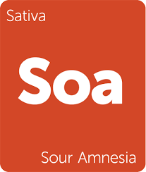 Buy Sour Amnesia Haze Online Green Society MMJ