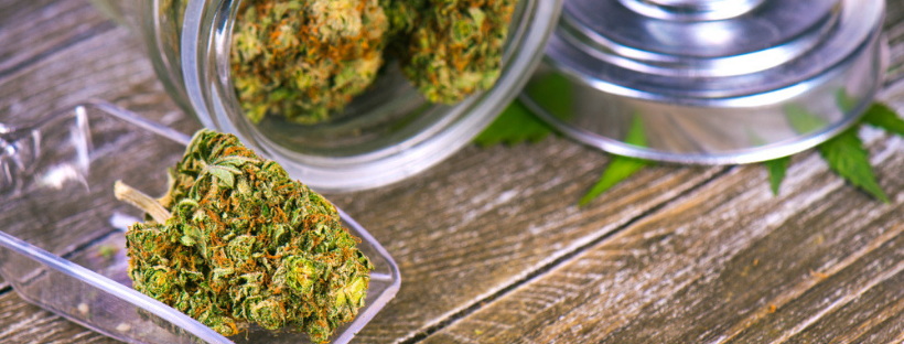 Benefits of Growing Your Own Marijuana