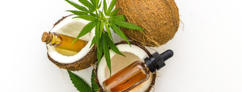 How to Make Cannabis Coconut Oil 