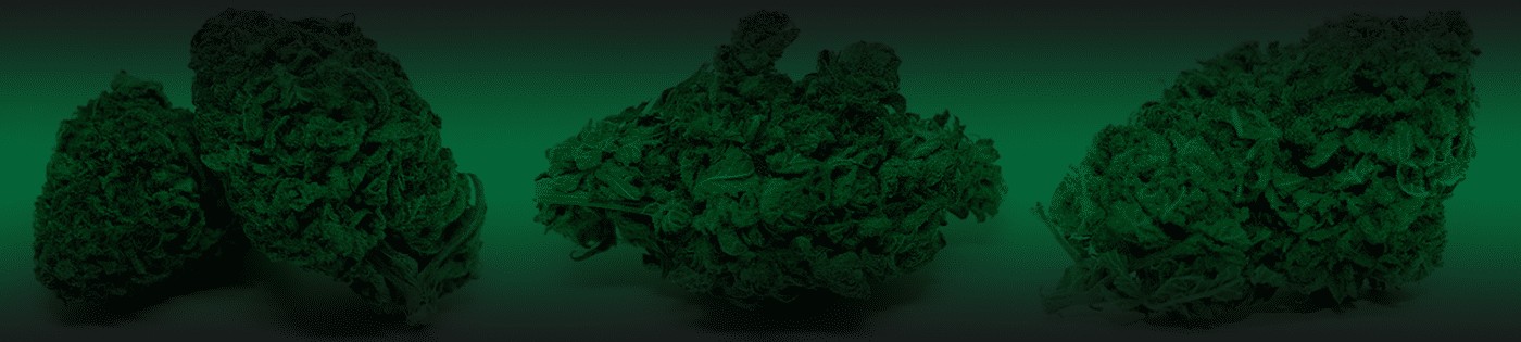 Green Society