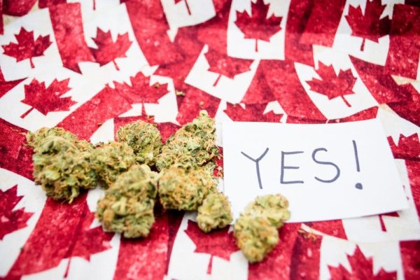buy legal weed canada