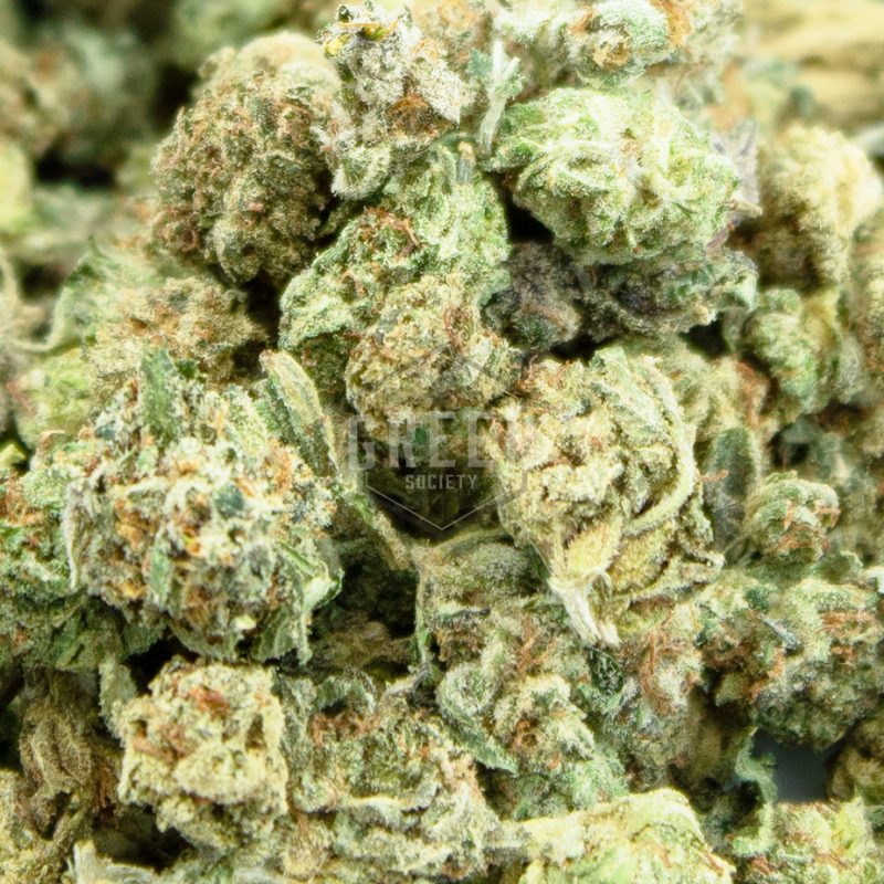 Popcorn Bud Ounces Buy Weed Online Canada Green Society