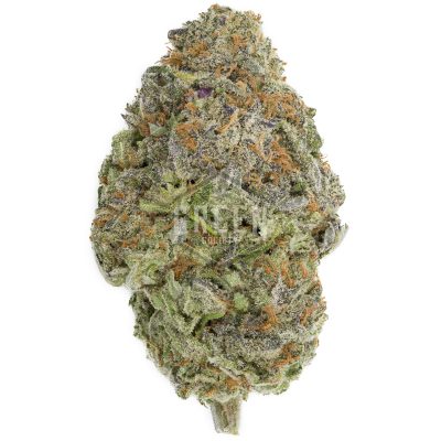 Buy Purple Nuken Strain Online Canada Green Society