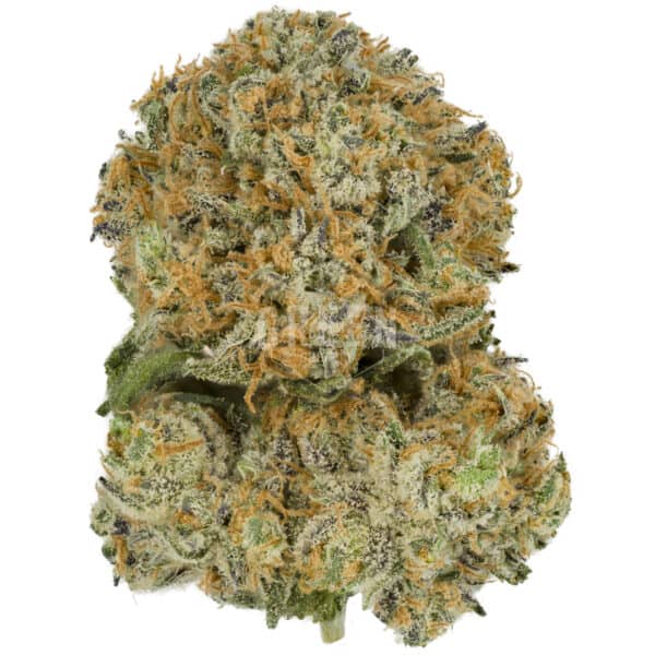 Blue Gelato 41 By Barneys Farm