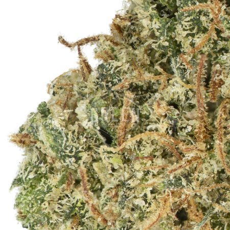 Buy Lemon Haze Online Canada Green Society