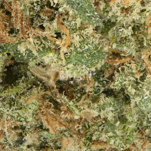 Buy Lemon Haze Online Canada Green Society