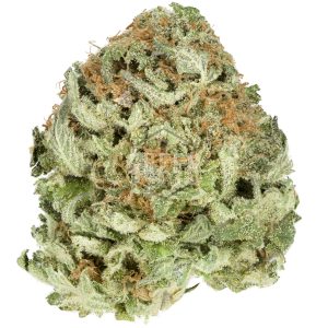 Buy Lemon Stomper Strain Online Canada Green Society