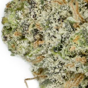 Buy Apollo 11 Strain Online Canada Green Society
