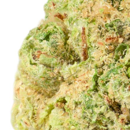 Buy El Queso Strain Online Canada Green Society