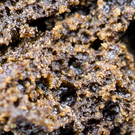 Buy Concentrates Online Canada Green Society