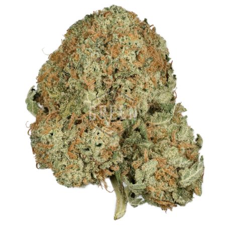 Buy Hawaiian Diesel Online Green Society