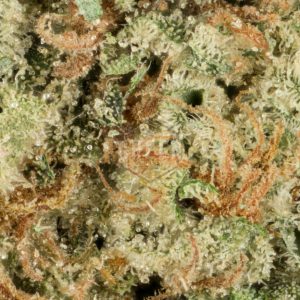 Buy Hawaiian Diesel Online Green Society