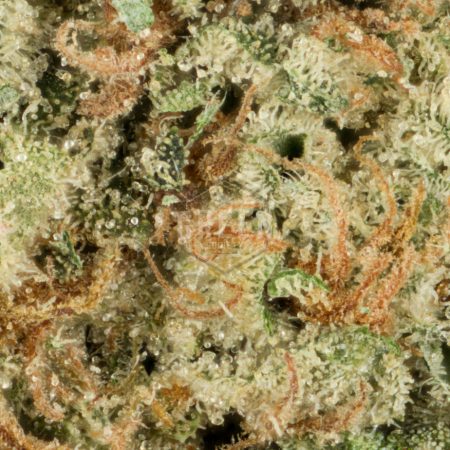 Buy Hawaiian Diesel Online Green Society