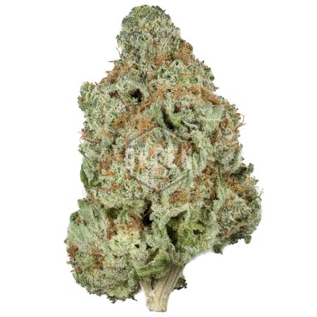 Buy Blueberry Bomb Online Green Society