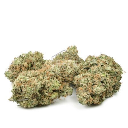 Platinum Cookies by Pluto Craft Cannabis