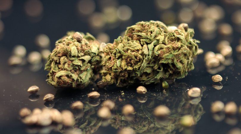 100 Percent Pure Sativa Strains: Are There Any? ~ Green Society Blog
