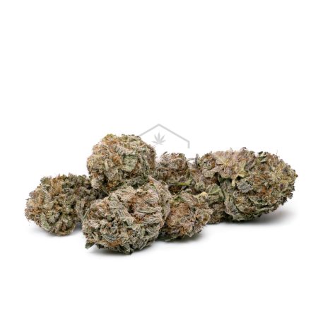 Buy Black Amnesia Haze Online Green Society