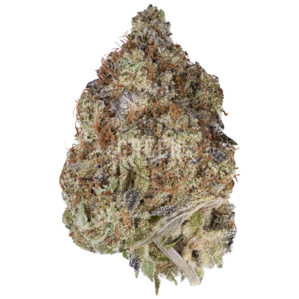 Buy Russian Rocket Fuel Online Green Society