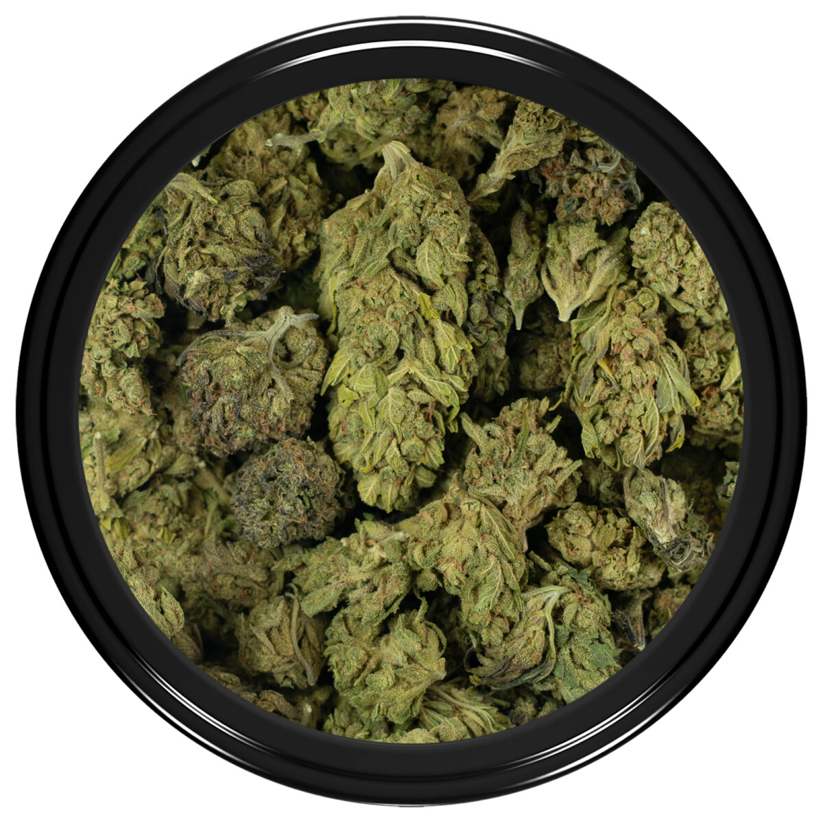 Buy Trainwreck Strain Online Green Society