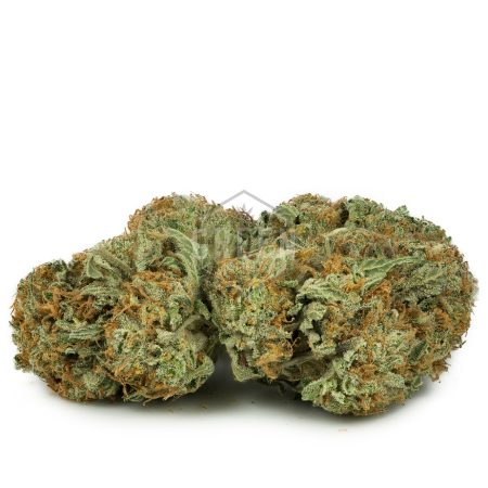 Buy Blue Comatose Strain Online Green Society