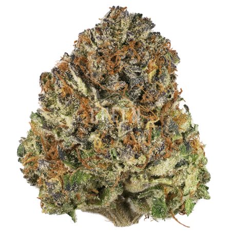 Buy Wonka's Bubblicious Strain Online Green Society