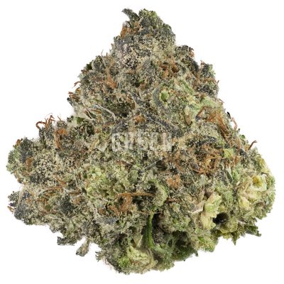 Buy Blueberry Strain Online Green Society