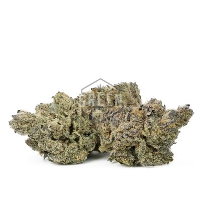 Buy Cowbell Strain Online Green Society
