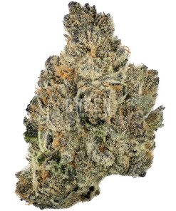 Buy Cowbell Strain Online Green Society