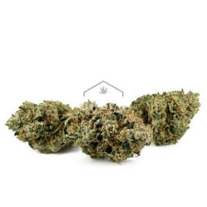Buy WiFi Cake Strain Online Green Society