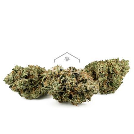 Buy WiFi Cake Strain Online Green Society