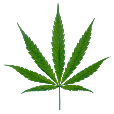 Buy High Dose Edibles Online Green Society