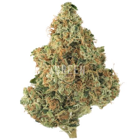 Buy Gasoline Zest #5 Online Green Society