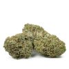 Buy Papaya Punch #2 Strain Online Green Society