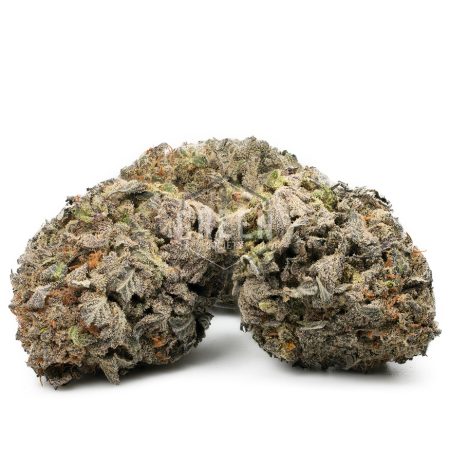 Buy Skunkberry Strain Online Green Society