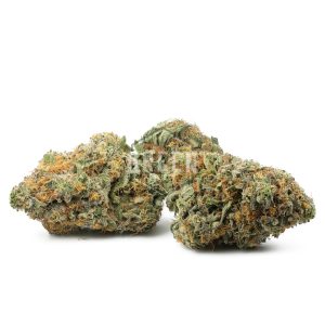 Northern Lights #5 x Haze