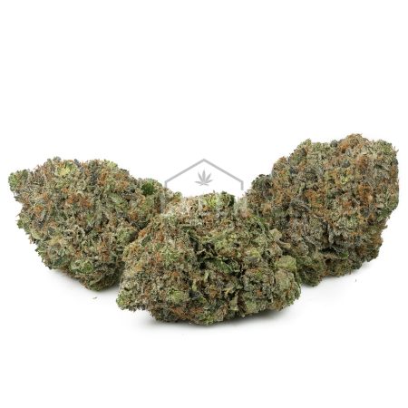 Buy The Lizard by Bubba Kings Online Green Society