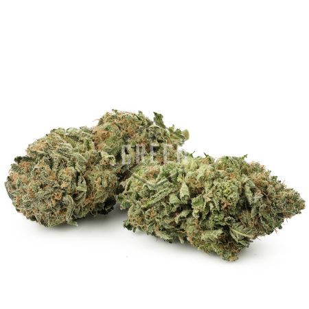 Buy Tropic Thunder Strain Online Green Society