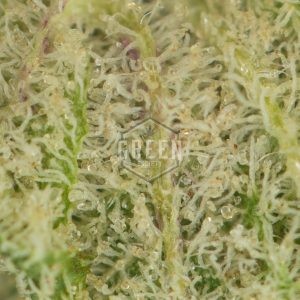 Buy Cypress OG Strain Online Green Society