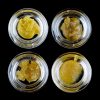 Buy High Voltage Extracts HTFSE Online Green Society