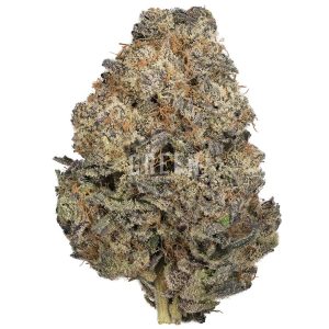 Buy Medi Kush Online Green Society
