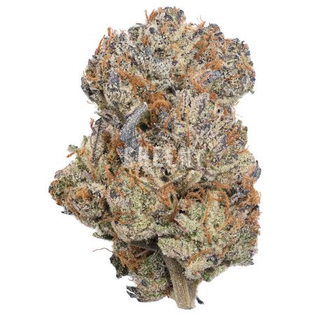 Buy Purple Zkittlez Strain Online Green Society