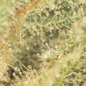 Buy Sour Amnesia Haze x Nuken Online Green Society