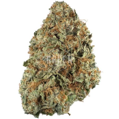 Buy Agent Orange Strain Online Green Society