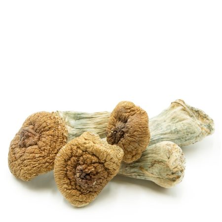 Buy Golden Teachers Online Green Society