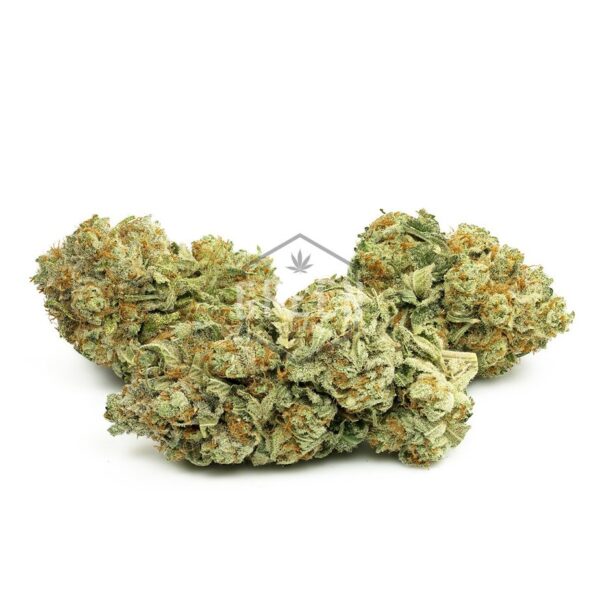 Buy White Widow Strain Online Green Society