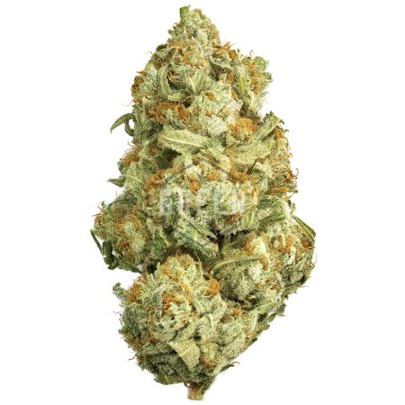 Buy White Widow Strain Online Green Society