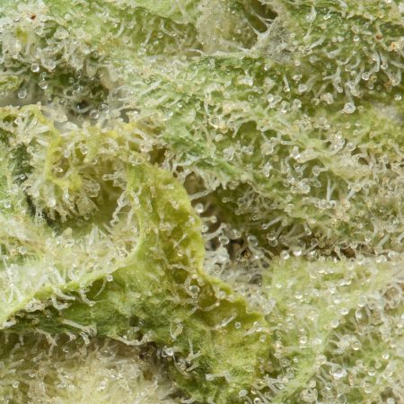 Buy BC Kush Online Green Society