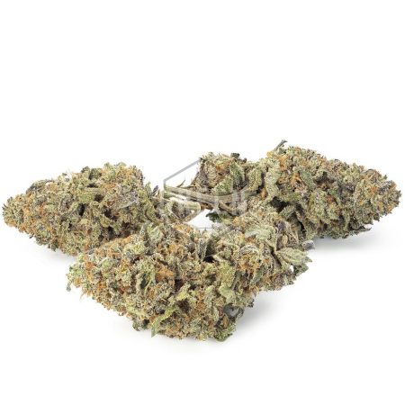 Buy Black Mamba Strain Online Green Society