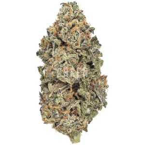 Buy Black Mamba Strain Online Green Society