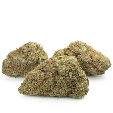 Buy Choco Chunk Strain Online Green Society